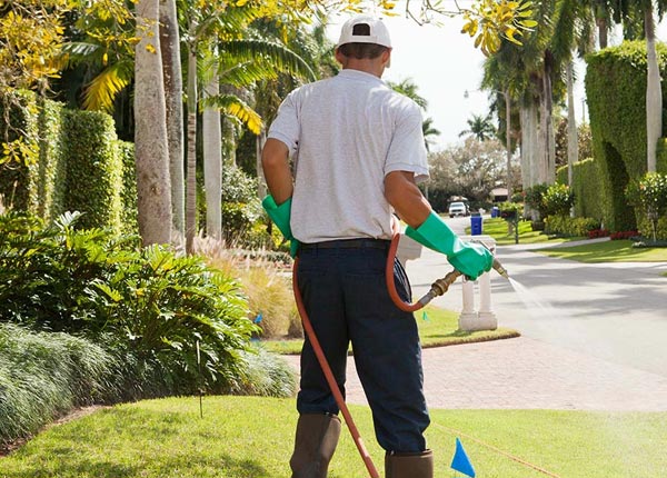 About Saint David AZ Pest Control